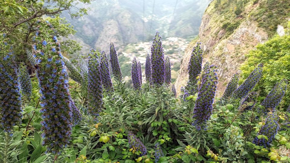 Mountain Wonders in 4h: Nuns Valley Eira Do Serrado - Directions