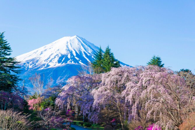 Mt. Fuji's Fifth Station & Lake Kawaguchiko Cycling Tour - Common questions
