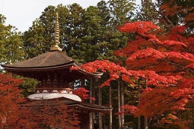 Mt Koya 2 Day Walking Tour From Osaka - Booking and Contact Information