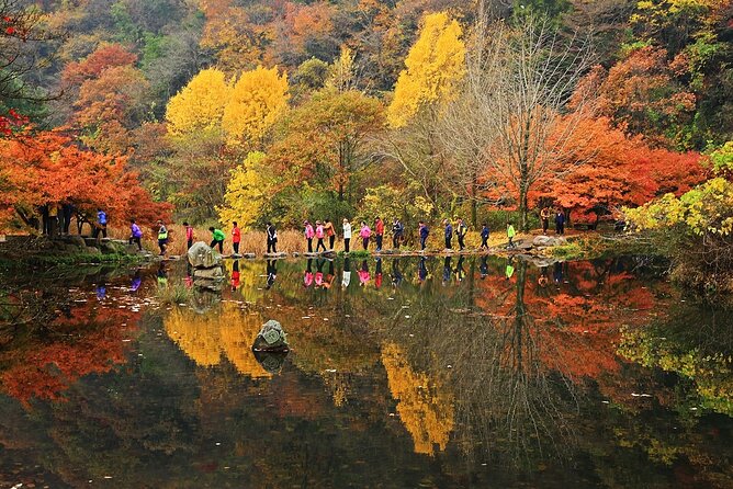 Mt. Naejang Autumn Foliage and Jeonju Hanok Village 1 Day Tour - Weather-Related Considerations