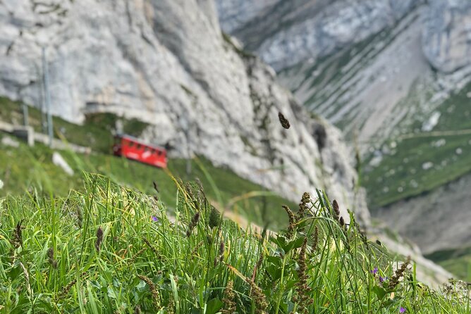 Mt. Pilatus With Lake of Lucerne Cruise Private Tour From Lucerne - Last Words