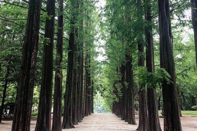 Nami Island & Nearby Attractions : Charter Van Tour With Driver - Directions