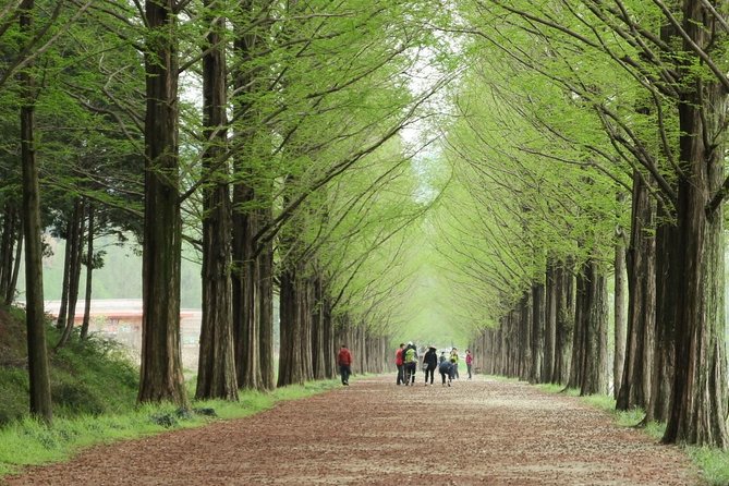 Nami Island& Petite France& Garden of Morning Calm& Italian Village One-Day Tour - Common questions