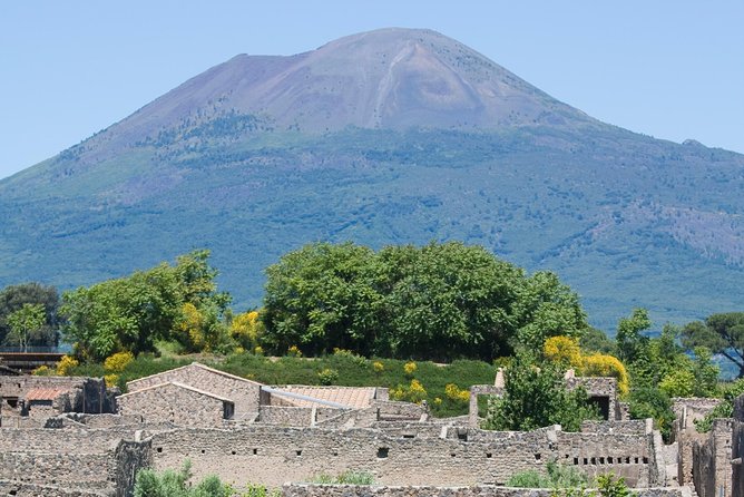 Naples City and Pompeii Half-Day Sightseeing Tour From Sorrento - Directions