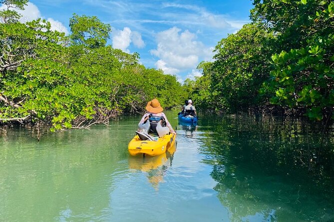 Naples, FL Hobie Kayak With Pedals in Mangrove Tunnels - Common questions