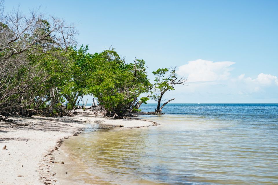 Naples, FL: Manatee and Dolphin Cruise to 10,000 Islands - Departure Location