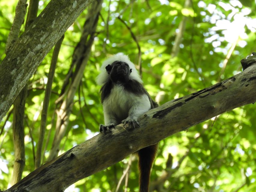 Nature Walks in a Private Reserve With Lunch - Last Words