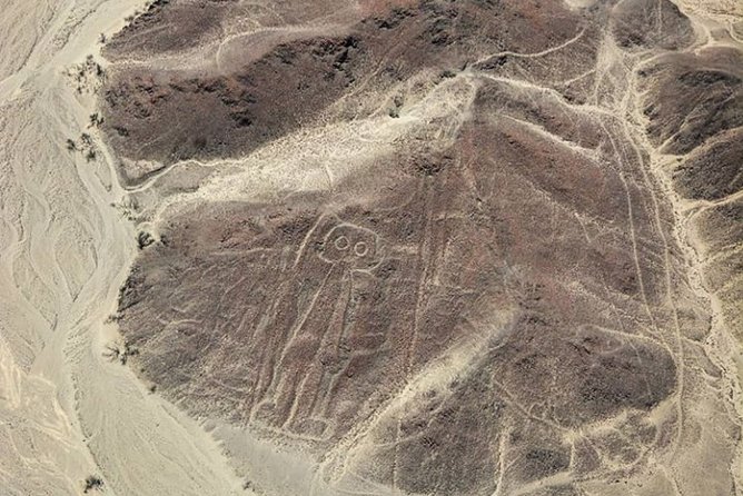 Nazca Lines and Huacachina Oasis From Lima - Scenic Flight Over Nazca Lines