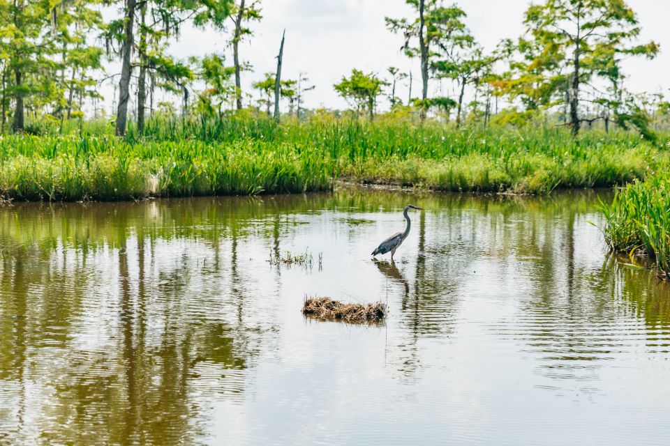 New Orleans: High Speed 9 Passenger Airboat Tour - Thrilling High-Speed Airboat Ride