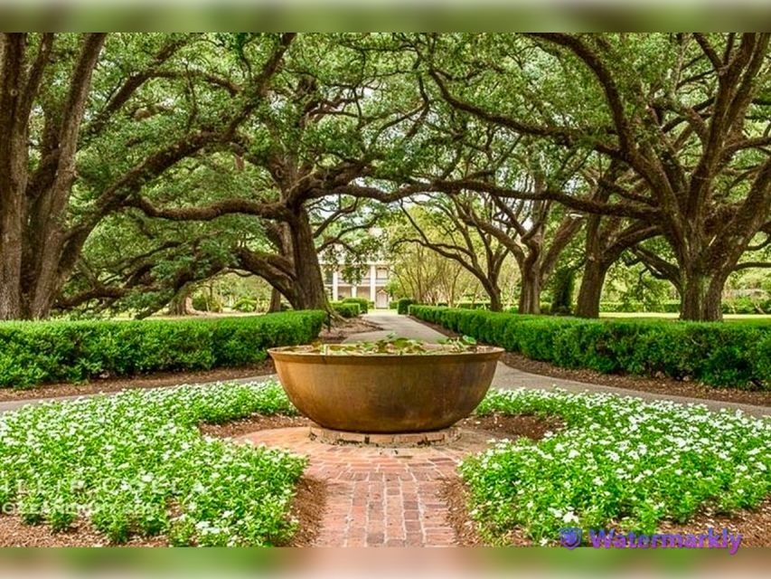 New Orleans: Oak Alley Plantation & City and Katrina Tour - Historical Insights