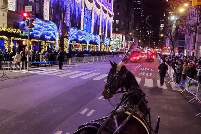 New York City Christmas Lights Private Horse Carriage Ride - Common questions