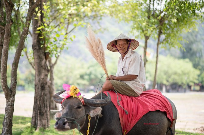 Ninh Binh Daily Tour: Hoa Lu - Tam Coc Boat Trip and Bike - Last Words