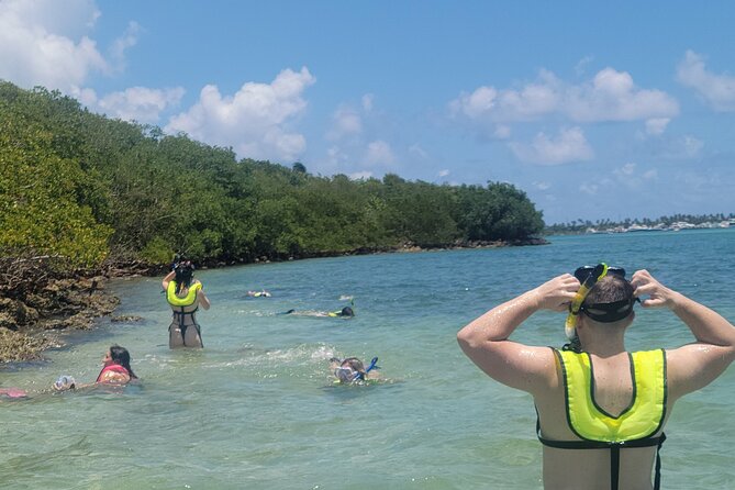 North Miami: Snorkeling By Kayak or SUP Tour - Last Words