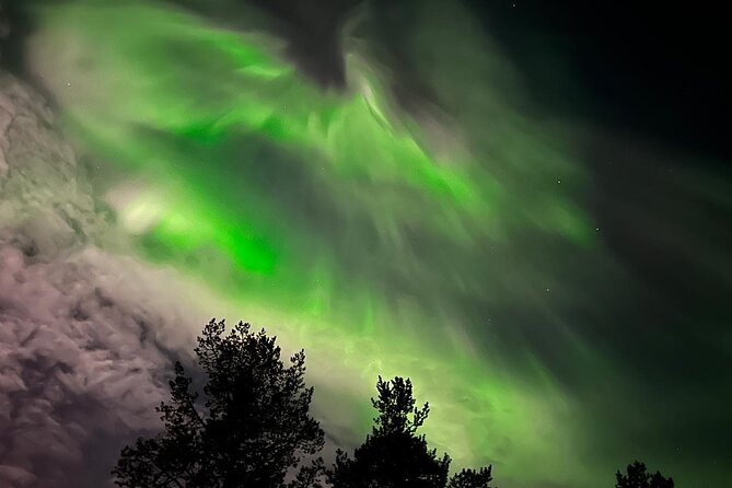 Northern Light Hunt With Minibus to Abisko 7:30 Pm - Booking Details