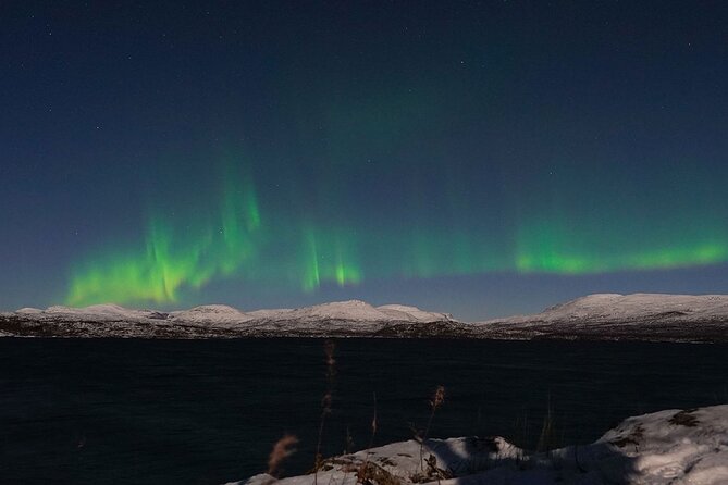 Northern Lights Tour From Kiruna to Abisko With Dinner - Common questions