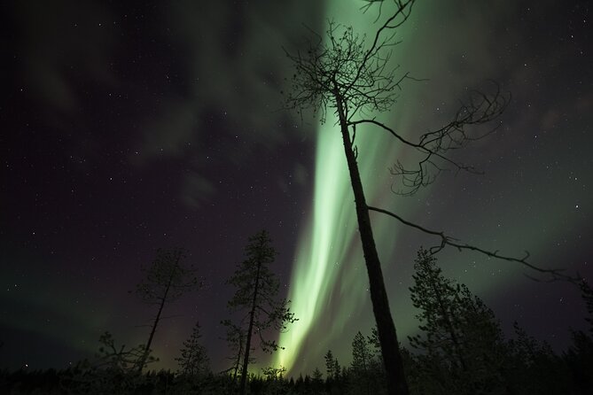 Northern Lights Tour From Rovaniemi With Lappish Picnic (Mar ) - Weather Contingency