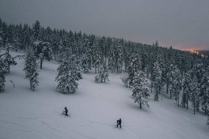 Northern Lights Tour With Skis Or Snowshoes in Pyhä - Last Words