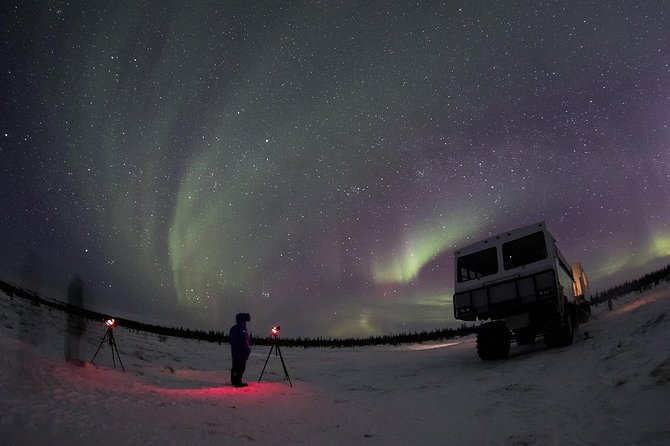 Northern Lights Winter Nights Adventure - Booking Information