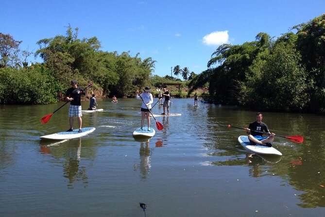 Oahu North Shore Small-Group Stand-Up Paddleboard Turtle Tour - Last Words