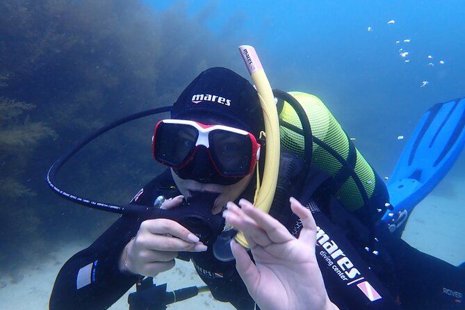 Open Water Diver Course in Arrabida Natural Park (Near Lisbon) - Training Experience