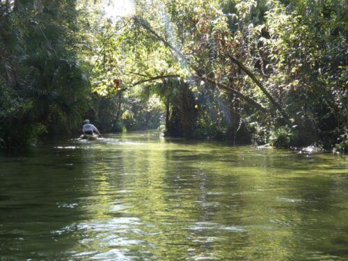Orlando: Small Group Rock Springs Run Kayak Tour - Booking Information