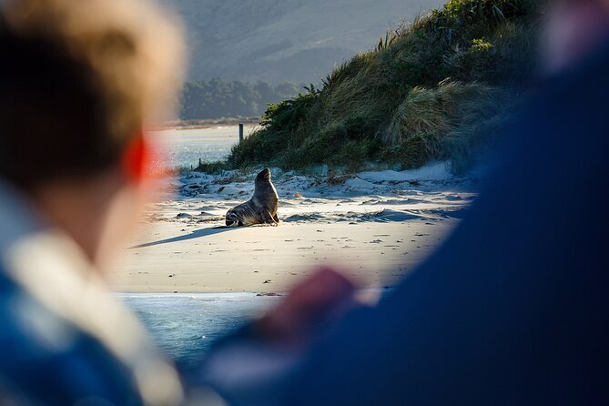 Otago Harbour Wildlife Cruise (Dunedin Shore Excursion) - Traveler Photos and Experiences