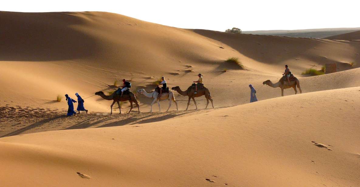 Ouarzazate: Tinfou Dunes, Camp & Camel Ride Day Trip - 1 Day - Common questions