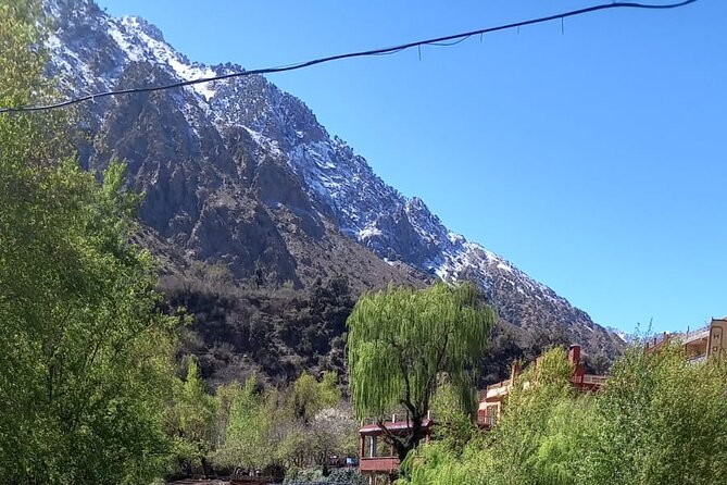 Ourika Valley and Atlas Mountains Day Trip - Last Words