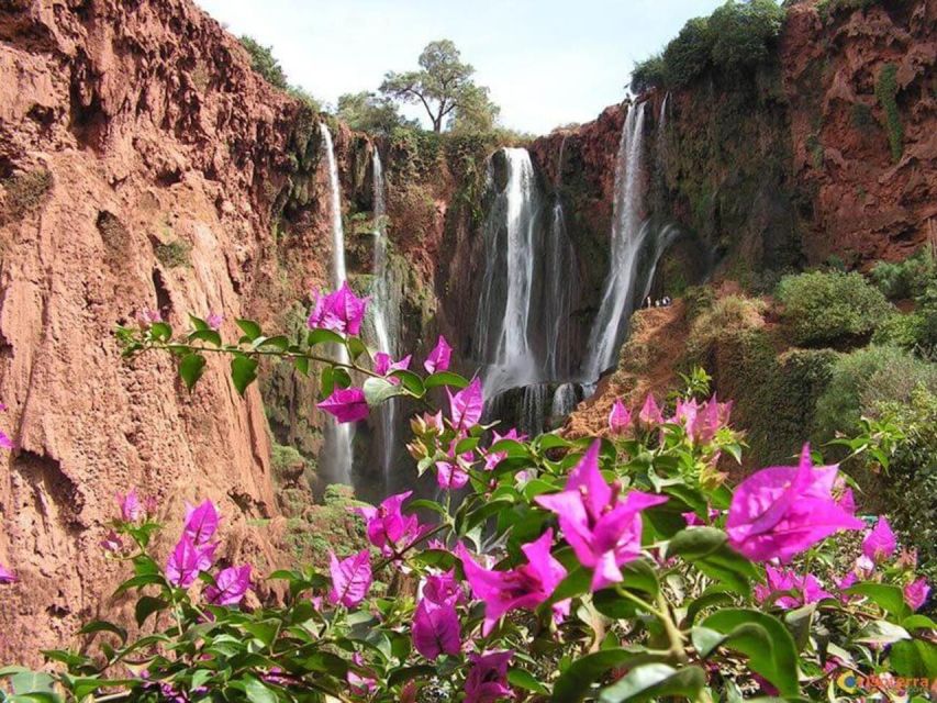 Ouzoud Waterfalls Day Trip - Tips for the Trip