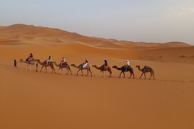 Overnight Camel Trek in Merzouga Dunes - Travel Tips and Recommendations