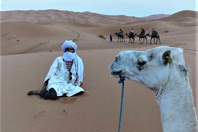 Overnight Camel Trek Over Erg Chebbi Dunes Merzouga - Getting Directions and Location Information