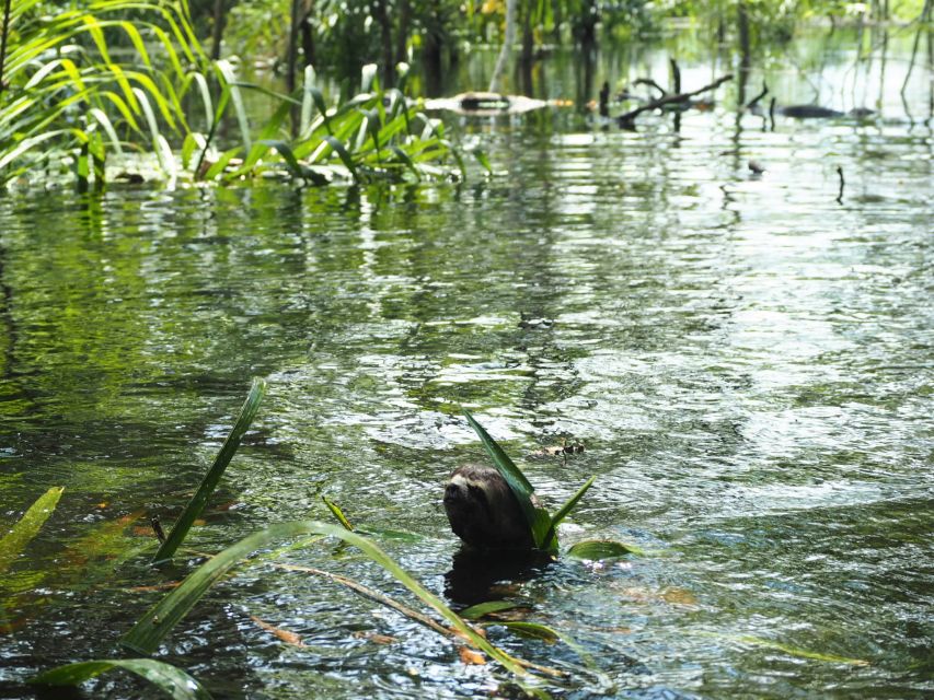 Pacaya-Samiria National Reserve: Multi Day Jungle Expedition - Local Experiences