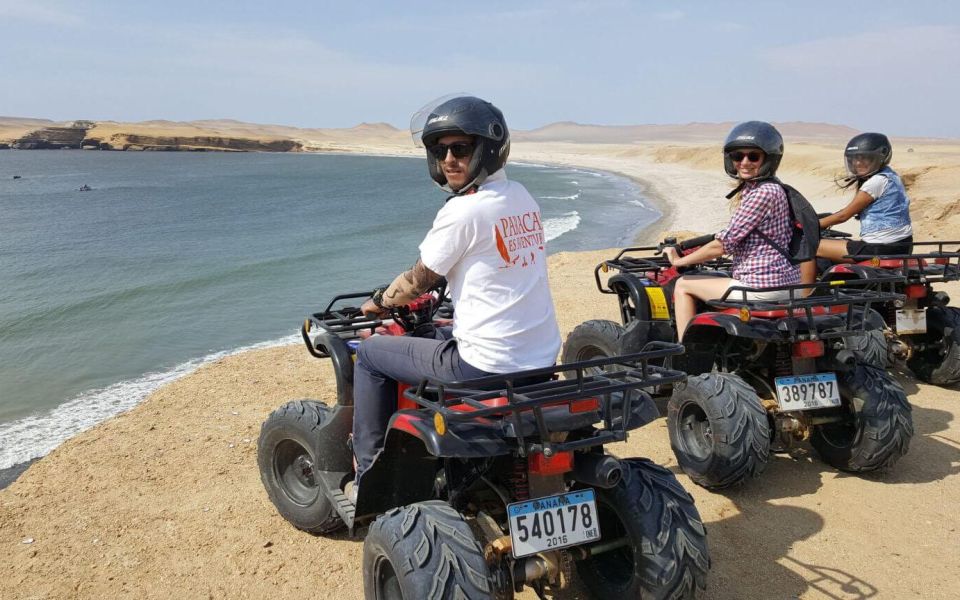 Paracas Reserve Off-Road Expedition - Buggy or Quad - Off-Road Thrills
