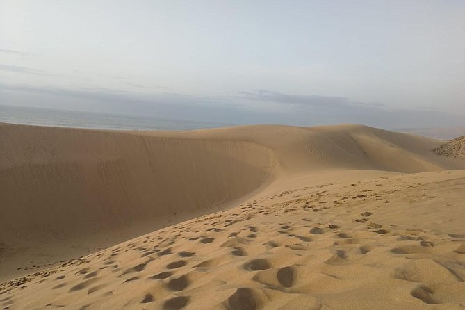 Paradise Valley and Desert Dunes Trip From Agadir & Taghazout - Last Words