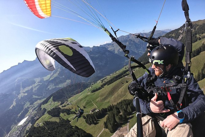 Paragliding Tandemflight Lucerne - Engelberg - Last Words