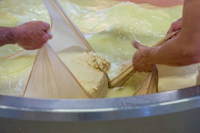 Parmigiano Reggiano Cheese Factory Tour & Tasting Experience - Last Words