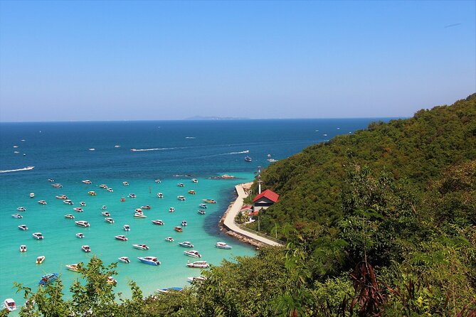 Pattaya Koh Larn Coral Island and Sanctuary of Truth From Bangkok - Guided Experience