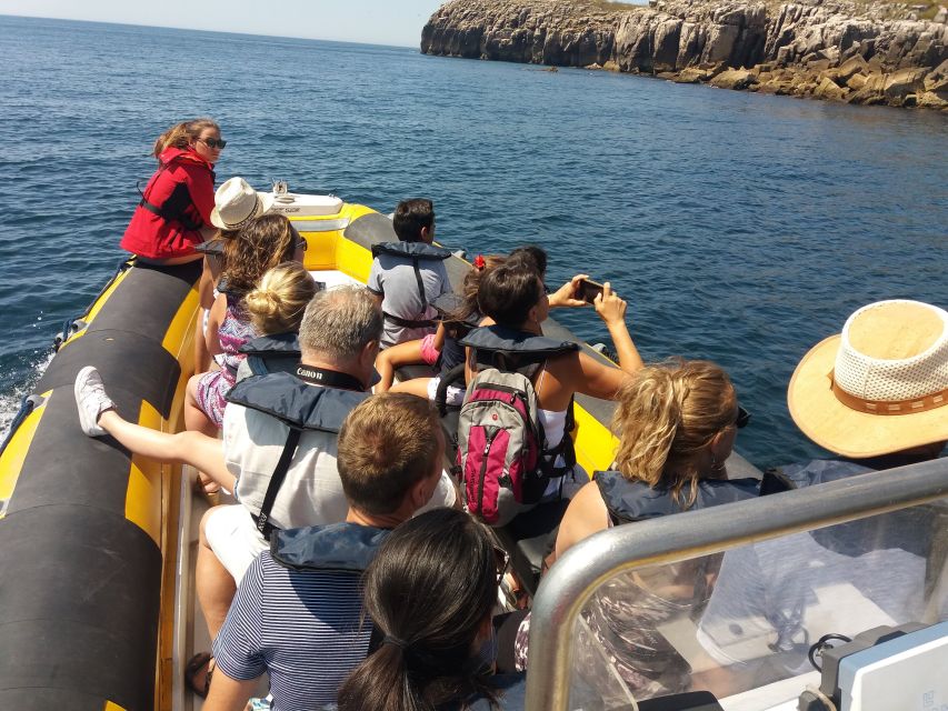 Peniche: Dolphin Route Boat Trip - Common questions
