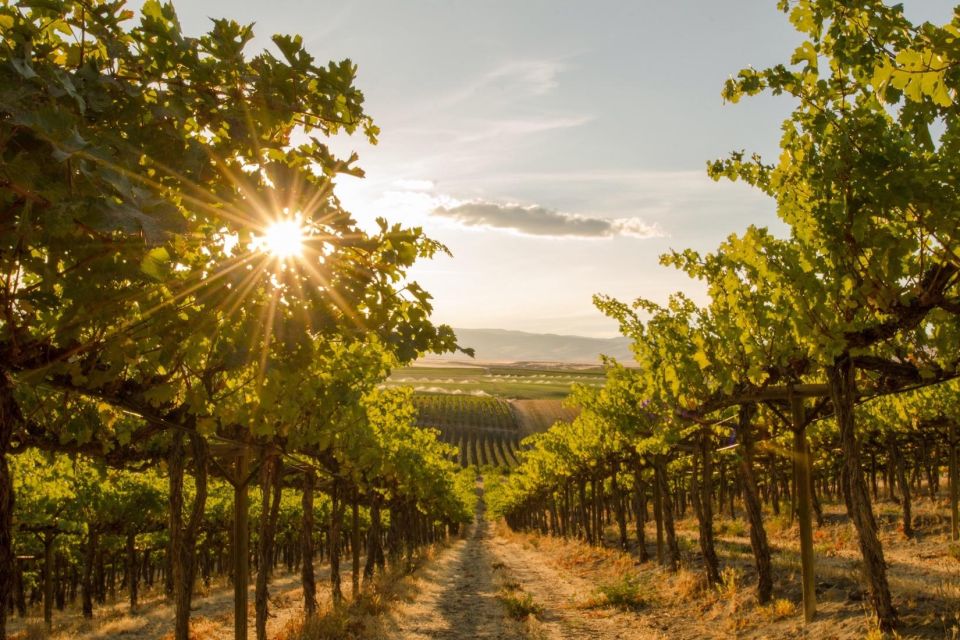 Penticton: Naramata Bench Full Day Guided Wine Tour - Terroir and Handcrafted Wines
