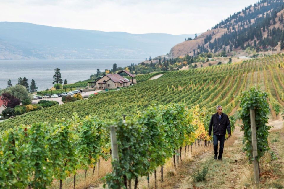 Penticton Wineries Tour - Expert Guide Insights