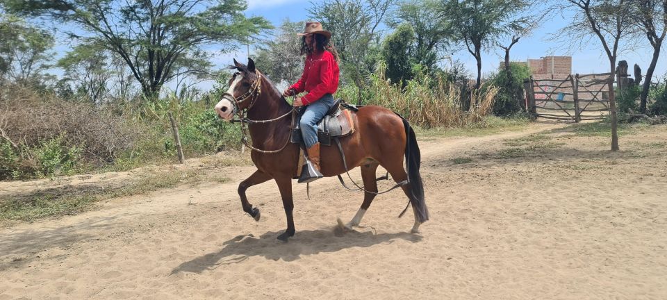 Peru, Chiclayo: 1 Day Horseback Riding and Ancient Pyramids - Common questions