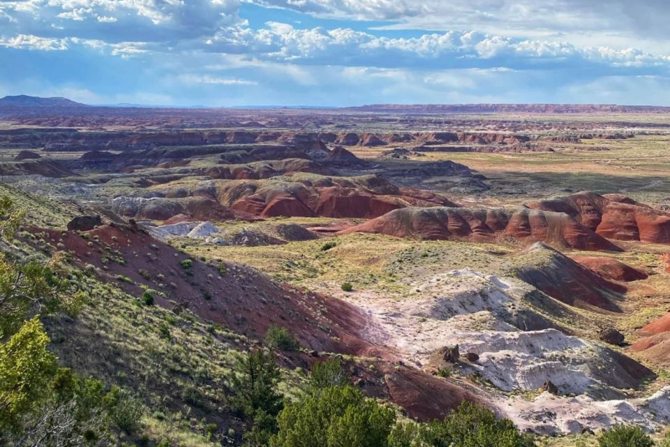 Petrified Forest National Park Self-Guided Audio Tour - Customer Feedback