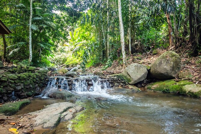Phuket Jungle Trekking Experience at Khao Phra Taew National Park - Common questions