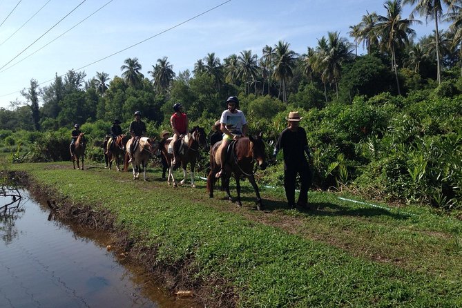 Phuket: Small-Group Horseback Riding Tour, Jungle or Beach - Last Words