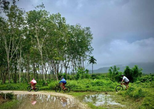 Phuket's Hidden Trails Biking Adventure Small-Group Tour - Background