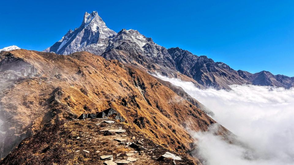 Pokhara: 4 Days Mardi Himal Trek - Common questions