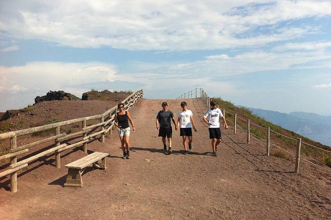 Pompeii, Herculaneum and Vesuvius Private Guided Tour - Cancellation Policy