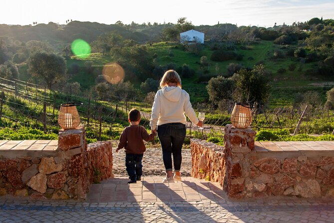 Porches Algarve Vineyard Tour and Wine Tasting Experience - Vineyard Tour Itinerary