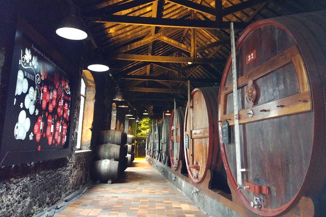Port Wine Lodges Tour Including 7 Portwine Tastings (English) - Pricing and Booking Information