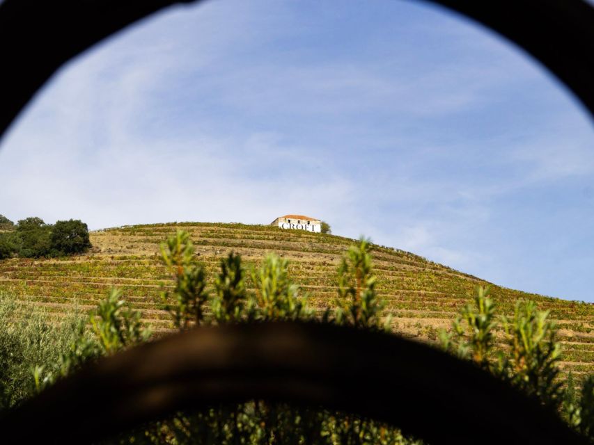 Porto: Douro Valley: an Authentic Wine Experience With Lunch - Booking Information